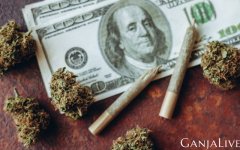 arkansas-officials-report-medical-cannabis-sales-top-200-million-featured-800x500.jpg