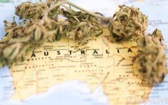 australia-getting-over-counter-cannabis-2021-featured-800x500.jpg
