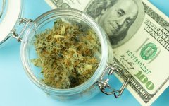 illinois-officials-report-half-billion-dollars-legal-cannabis-sales-first-year-featured-800x500.jpg