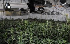 london-police-uncover-massive-cannabis-grow-citys-financial-district-featured-800x500.jpg