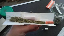 rolling-paper-joint_large.jpg