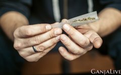 cannabis-legalization.jpg