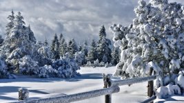 Winter_Fence_Snow_Spruce_574972_3840x2160.jpg