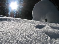 snow-winter-sunlight-frost-ice-weather-season-blizzard-freezing-10263.jpg