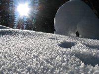 snow-winter-sunlight-frost-ice-weather-season-blizzard-freezing-10263.thumb.jpg.08491237b04e59...jpg