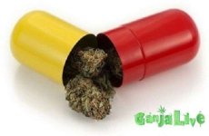 Marijuana-in-Pill.jpg