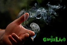 getty_rm_photo_of_marijuana_cigarette_smoke.jpg