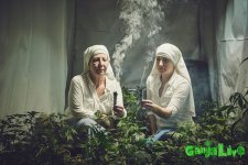 marijuana-nuns-05.jpg