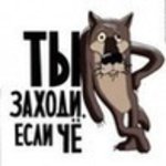 99px_ru_avatar_133292_volk_iz_multfilma_jil_bil_pes_ti_zahodi.jpg