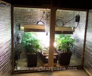 cheap-indoor-grow-room.jpg