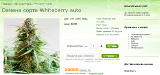 Whiteberry auto.png